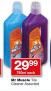Mr Muscle Tile Cleaner Assorted-750ml Each 
