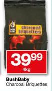 BushBaby Charcoal Briquettes-4Kg