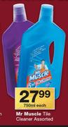 Mr Muscle Tile Cleaner-750ml Each