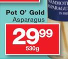Pot O' Gold Asparagus-530g
