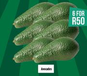 Avocados-For 6