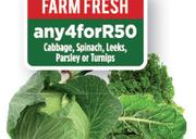 Cabbage, Spinach, Leeks, Parsley Or Turnips-For Any 4 