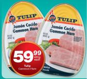Tulip Gammon Ham-450g Each