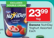 Danone NutriDay Yoghurt-1kg Each