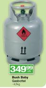 Bush Baby Gasbottel-4.5kg