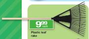 Plastic Leaf Rake