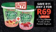 Clover Fruits Of The Forest Yoghurt-For 2 x 1Kg