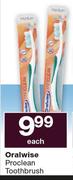 Oralwise Porclean Toothbrush-Each