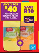 Spring Meadow Flavoured Dairy Fruit Blend-For 2 x 2L