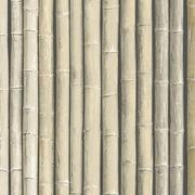 Bamboo Beige Wallpaper 53cm x 10m