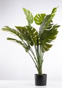 Artificial Premium Monsteria Plant - 1000mm