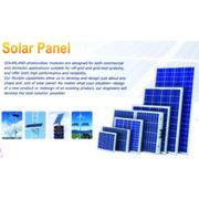 290W Multicrystalline PV Solar Module