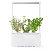 Smart Garden 3