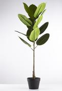 Artificial standing Ficus Tree - 700mm