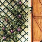 TRELLIFLEX 0.50 X 1.50 M (22X6)