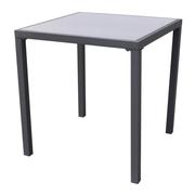 1PX TABLE FIX STEEL GLASS 70X70 GREY