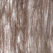 HEATHER FENCE LOW PRIVACY 0.9KG M2 2X3M