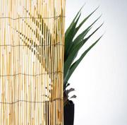 CANE REED FENCE 2X3M MEDIUM LOW PRIVACY