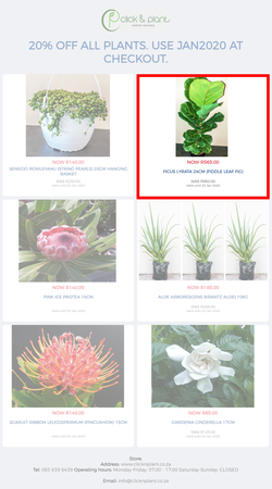 20% off all plants. Use JAN2020 at checkout., page 1