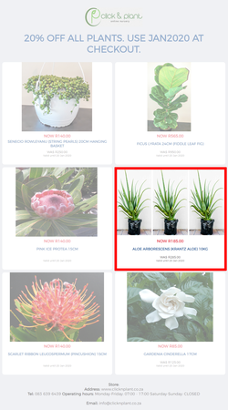 20% off all plants. Use JAN2020 at checkout., page 1