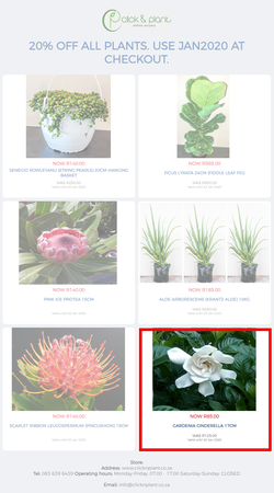 20% off all plants. Use JAN2020 at checkout., page 1